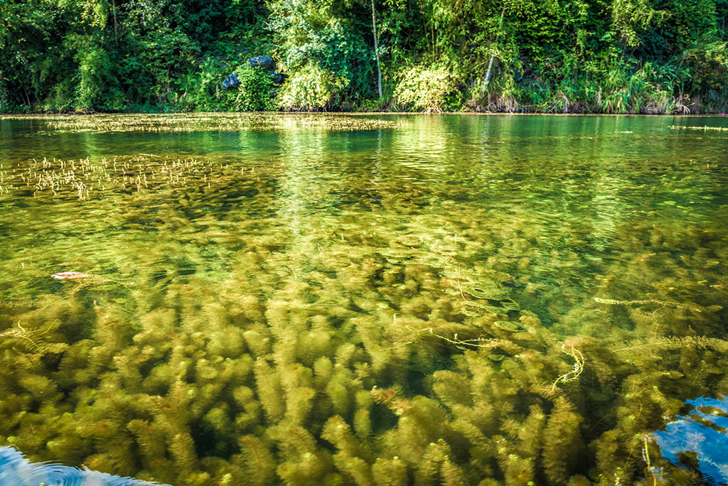 lac_minh_vao_tien_canh_trang_an.-04-1.jpg